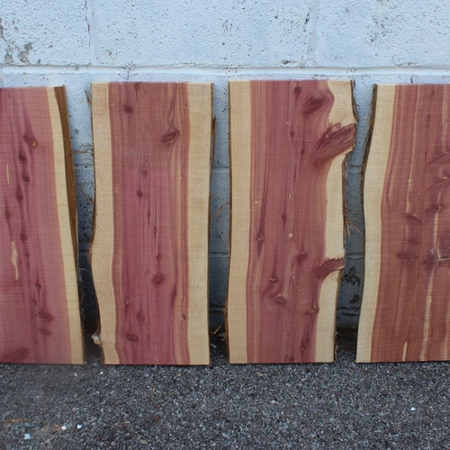 Six Red Cedar Live Edge Slabs Six 48 Inches Etsy