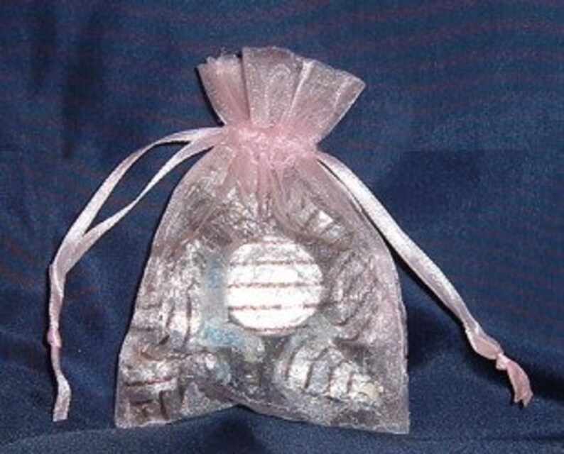 Pink 3 x 4 Organza Wedding Favor Bags Pouches Satin Ribbon Closure Party Shower Anniversary Birthday