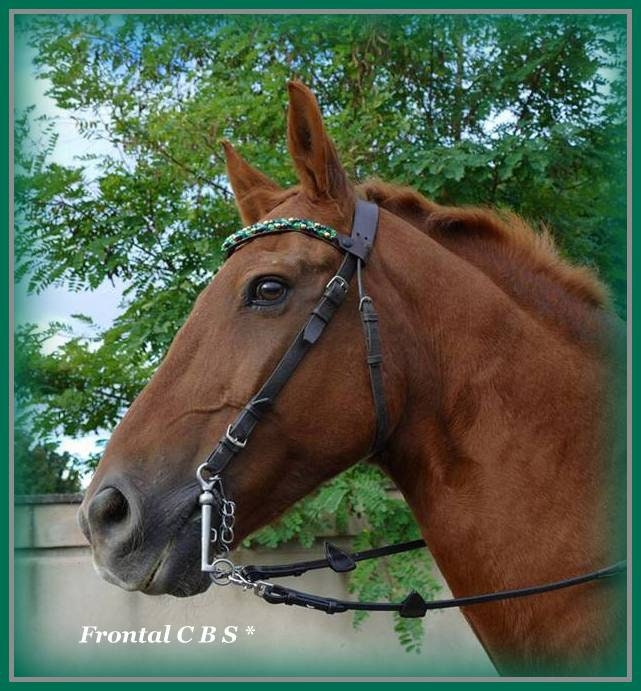 Frontal Cheval | Browband en Cuir Surpiqué de Deux Rangs Perles Modèle Sissi