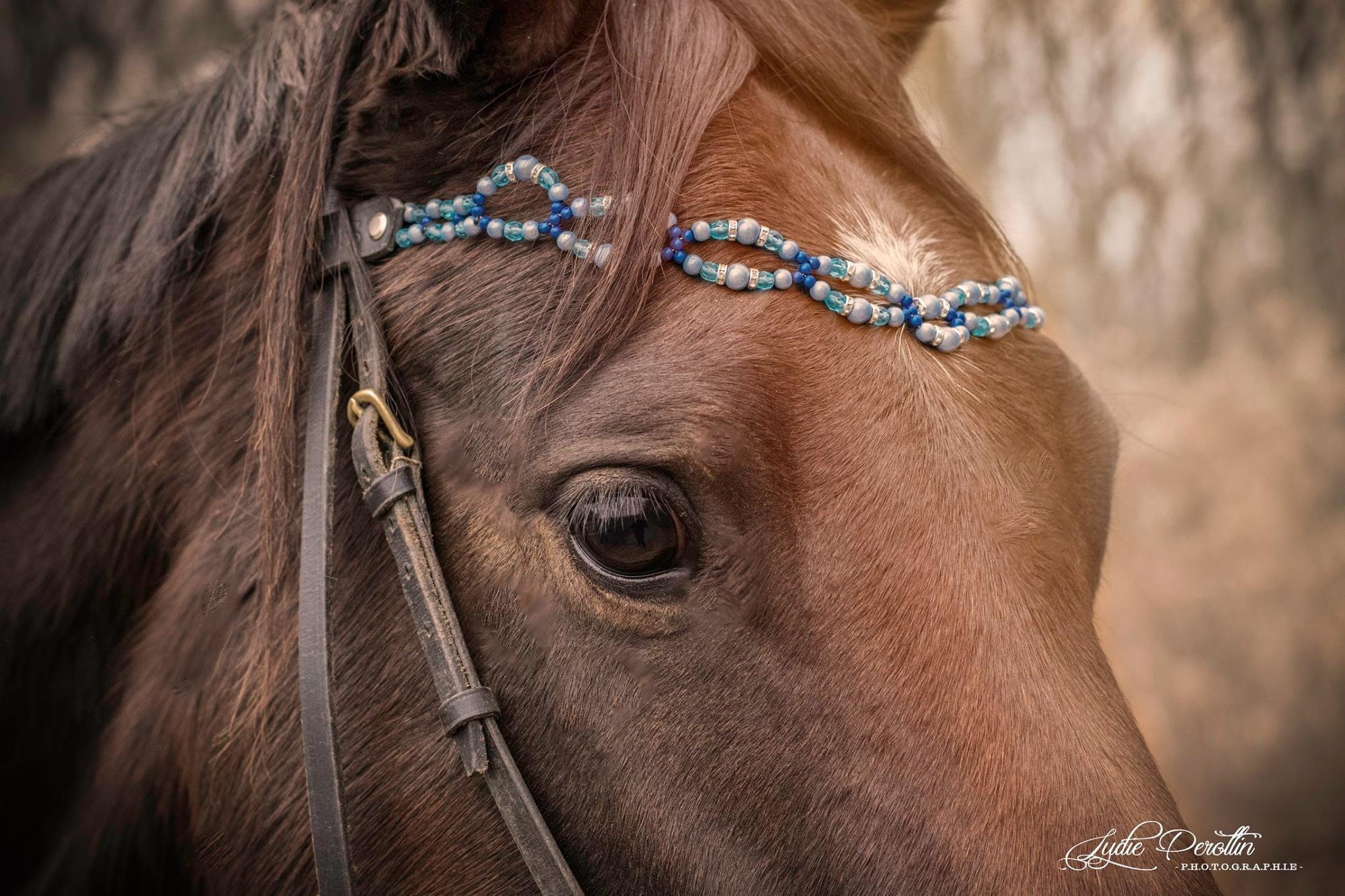 Frontal Pour Cheval Modèle Stéphanie