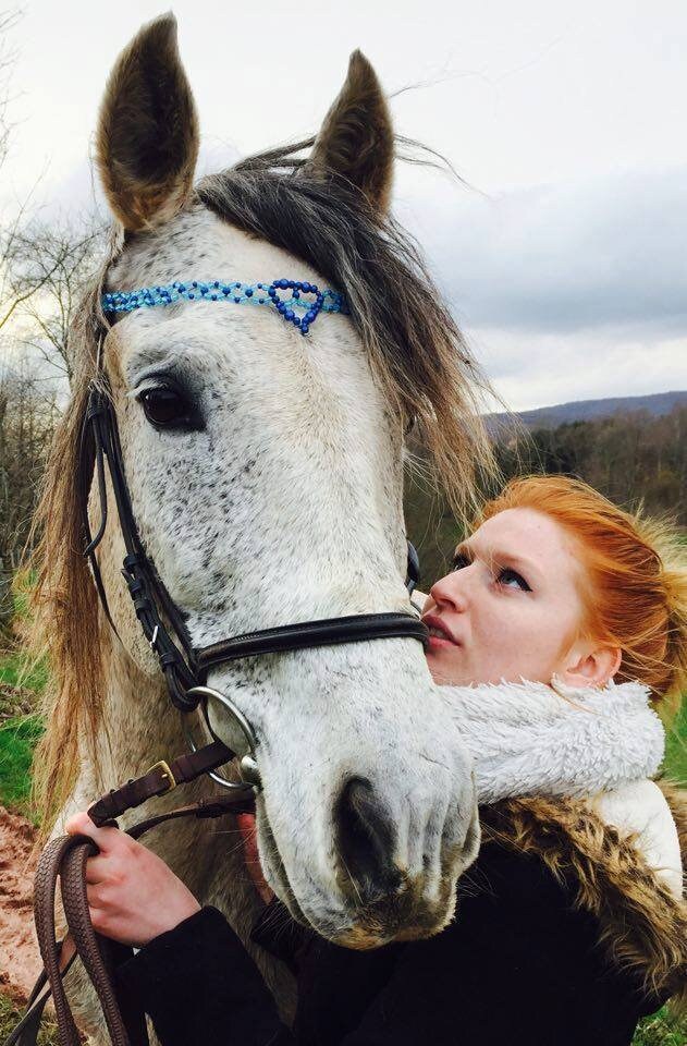 Frontal Cbs Pour Cheval Modèle Coeur