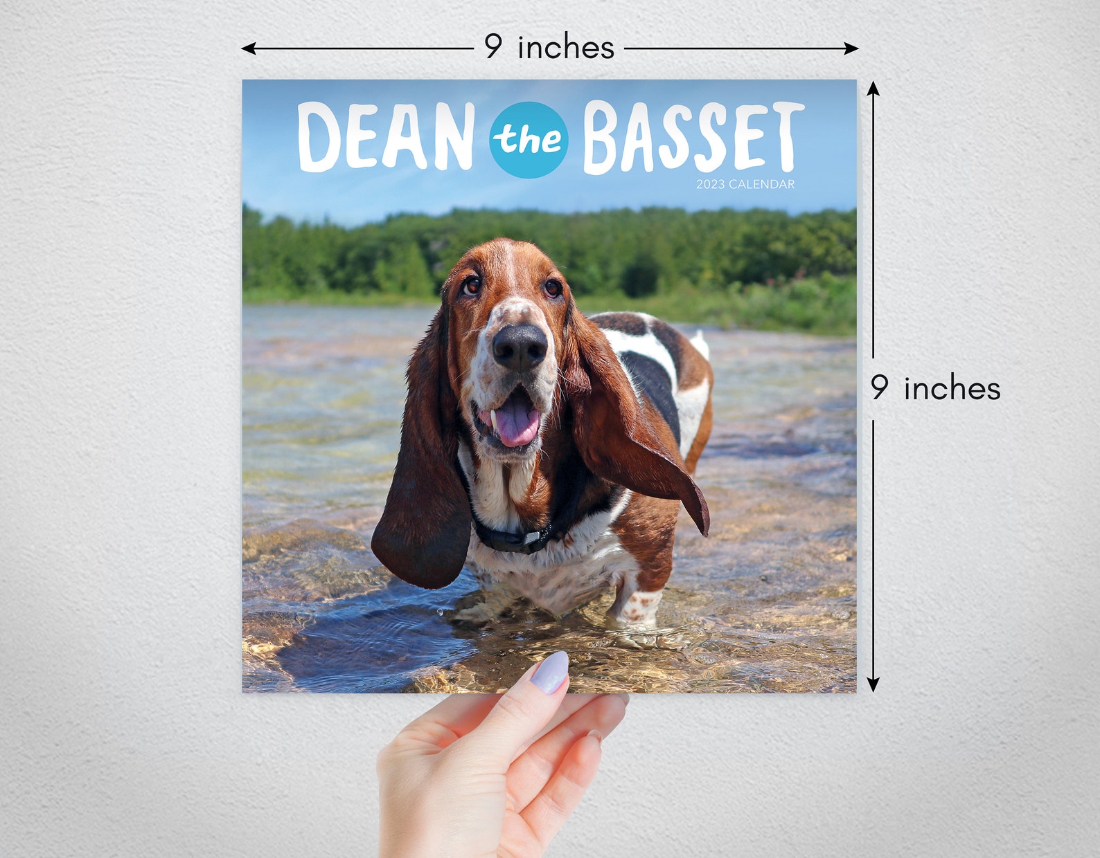 dean-the-basset-2023-calendar-etsy-canada