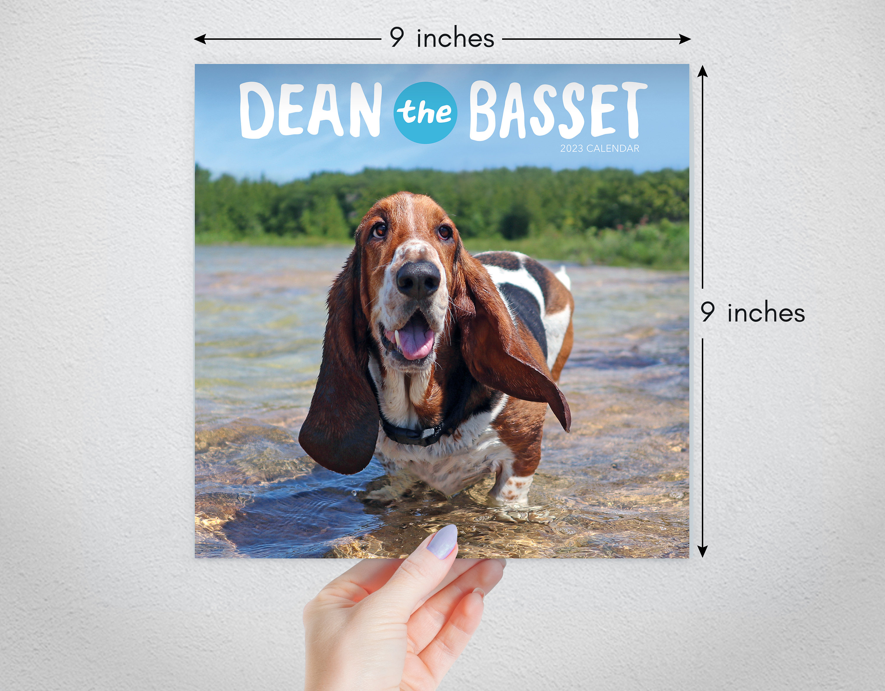 Dean the Basset 2023 Calendar Etsy Canada