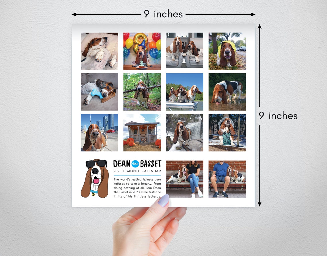 dean-the-basset-2023-calendar-etsy-canada