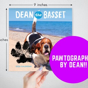 PAWTOGRAAF! Dean the basset-kalender voor 2026