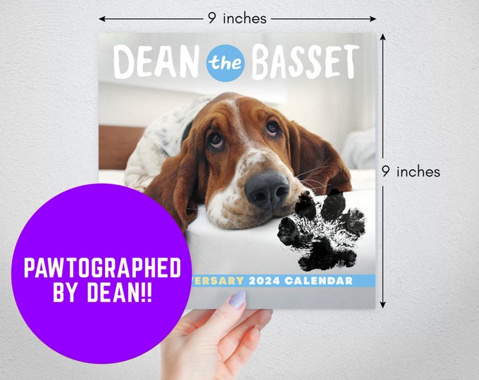 PRESALE PAWTOGRAPHED Dean the Basset 2024 Calendar Etsy