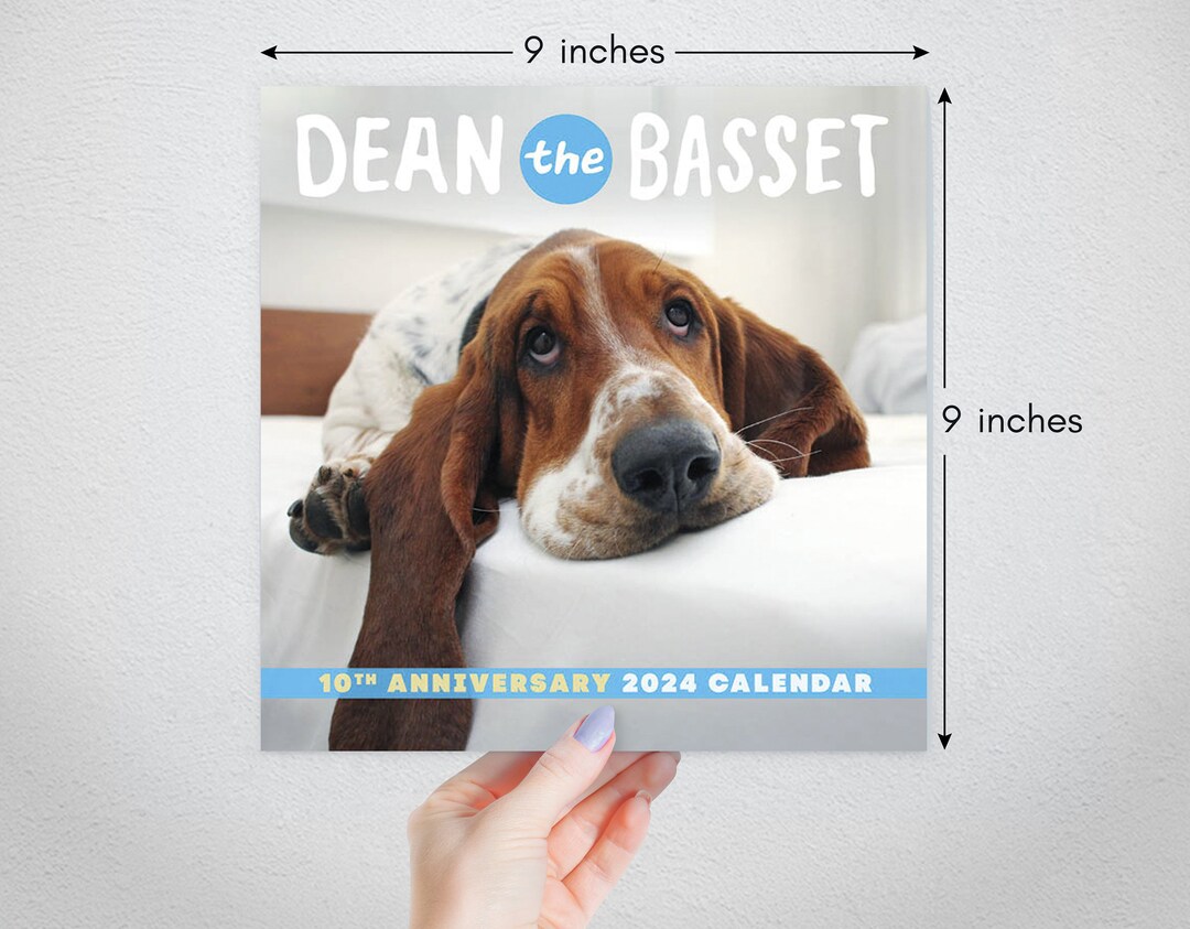PRESALE Dean the Basset 2024 Calendar Etsy Canada