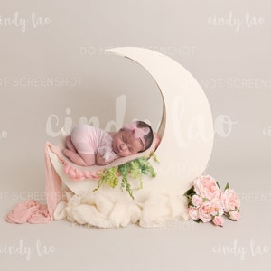 Newborn Digital Backdrop | Pink Moon Prop | Floral | for girls