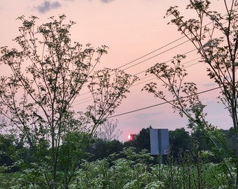 Summer Evening Sunset