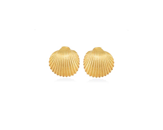 scallop shell earrings