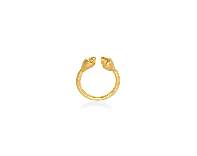 Double shell ring