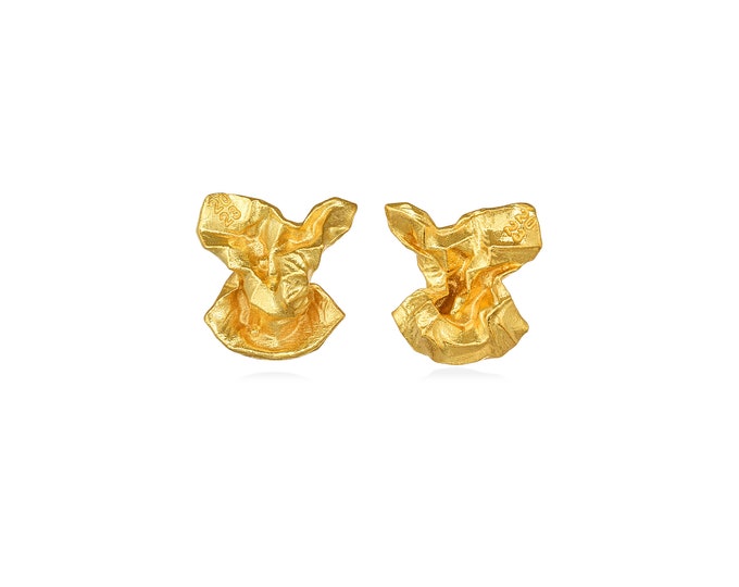 Frustrated waste earrings