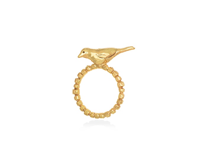 bird ring