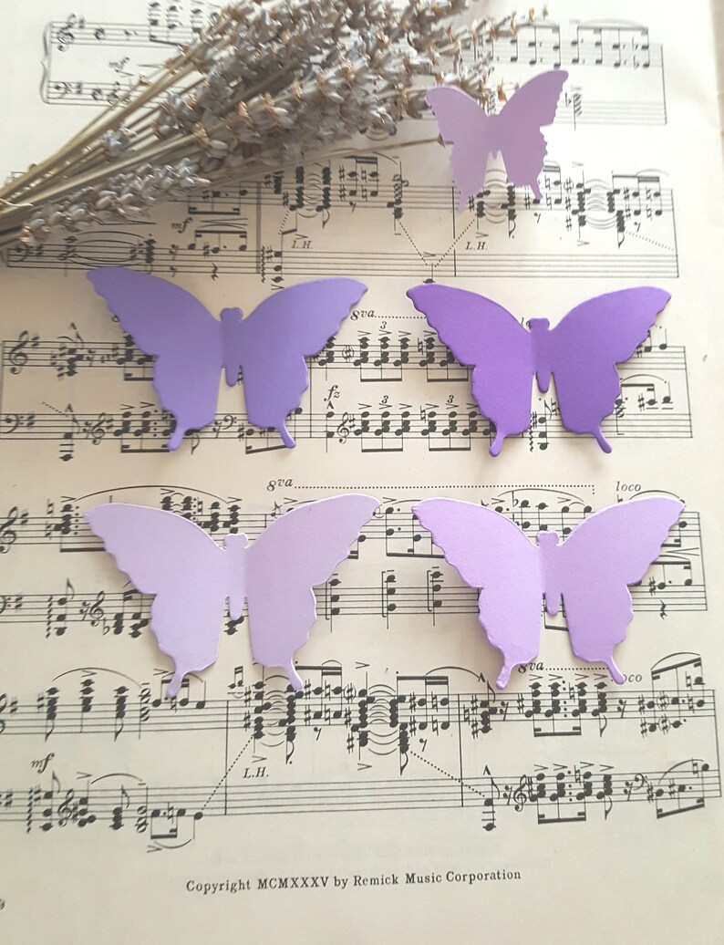 Butterfly Die Cuts Paper Butterflies Butterfly Cut Etsy
