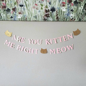 Are You Kitten Me Right Meow banner,Kitty banner,Kitty garland,Kitten birthday decor,Kitty birthday banner,Cat party banner,Cat banner