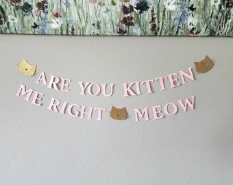 Are You Kitten Me Right Meow banner,Kitty banner,Kitty garland,Kitten birthday decor,Kitty birthday banner,Cat party banner,Cat banner