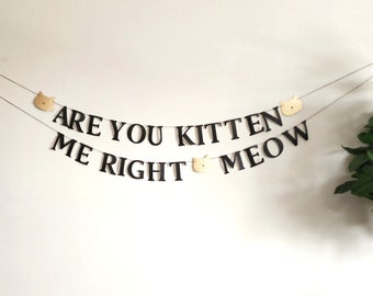 Kitten birthday decorations,Are You Kitten Me Right Meow garland,Kitty garland,Cat party decor,Kitty birthday banner,Cat party banner