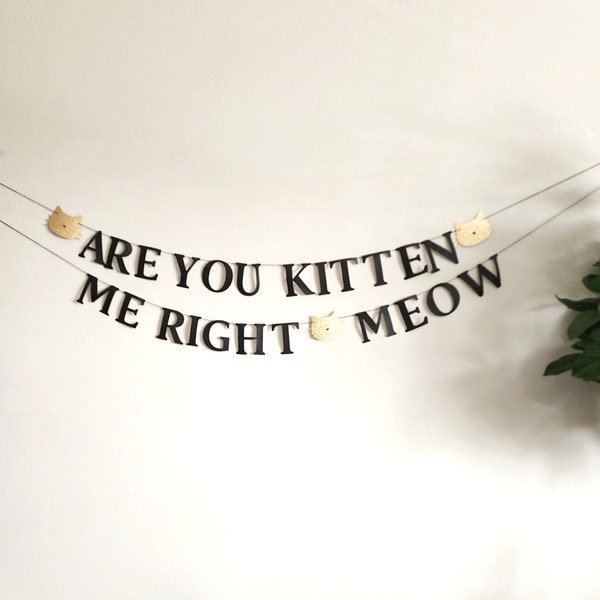Kitten birthday decorations,Are You Kitten Me Right Meow garland,Kitty garland,Cat party decor,Kitty birthday banner,Cat party banner