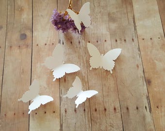 Tiny Rainbow Paper Butterflies, Realistic Double-sided Print, Miniature  Paper Cut Butterfly Craft Cutouts tulip 15 Piece Set 