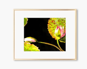 Water Lily Watercolor Giclee Print, Floral Pond Art