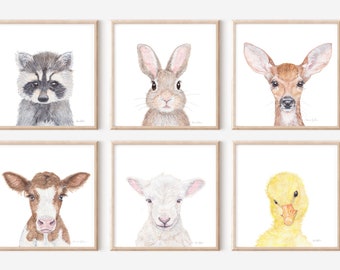 May include: Set of six watercolor animal illustrations in frames. The animals are a raccoon, a rabbit, a deer, a calf, a lamb, and a duckling.