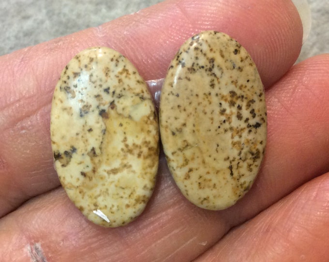 OOAK Matching Pair of Natural Picture Jasper Oval Shaped Flat Back Cabochons - Measuring 13mm x 23mm, 4mm Dome Height - Quality Gemstone