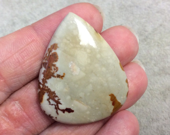 Natural American Picture Jasper Teardrop/Pear Shaped Flat Back Cabochon - Measuring 33mm x 39mm, 5mm Dome Height - High Quality Gemstone