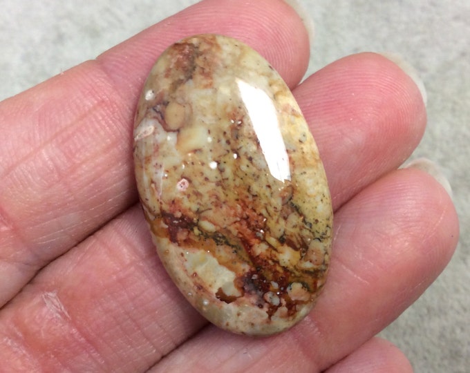 Natural American Picture Jasper Oblong Oval Shaped Flat Back Cabochon - Measuring 21mm x 35mm, 5mm Dome Height - High Quality Gemstone