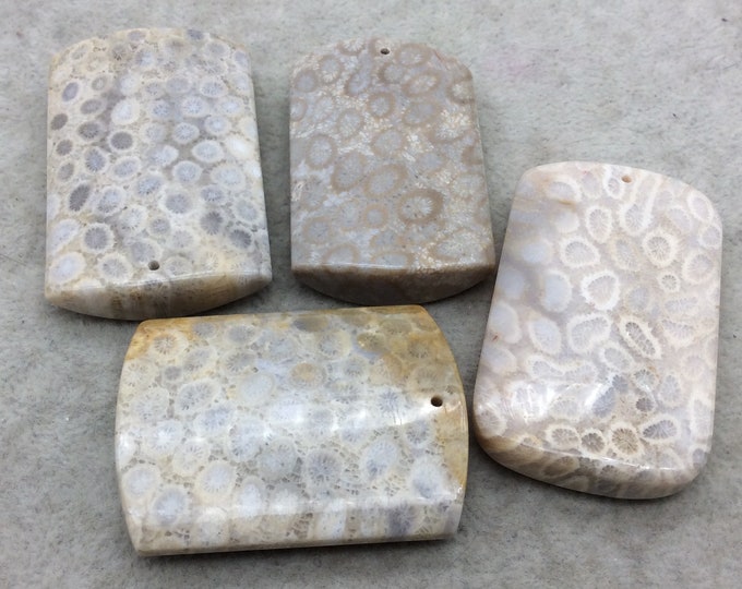 Premium Fossil Coral Rounded Rectangle Shaped Top Drilled Pendant - Measuring 30-35mm x 45-55mm,  - Natural High Quality Gemstone