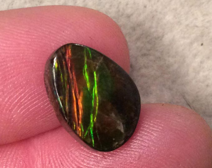 OOAK Backed Ammonite Teardrop Shaped Flat Back Cabochon "AMC" - Measuring 11mm x 15mm, 3mm Dome Height - Natural High Quality Fossil