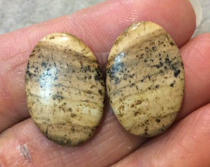 OOAK Matching Pair of Natural Picture Jasper Oval Shaped Flat Back Cabochons - Measuring 16mm x 23mm, 4mm Dome Height - Quality Gemstone