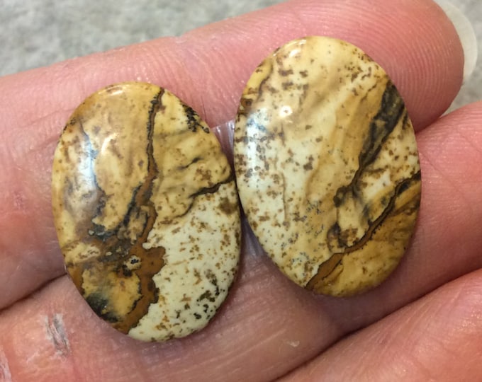 OOAK Matching Pair of Natural Picture Jasper Oval Shaped Flat Back Cabochons - Measuring 16mm x 23mm, 3mm Dome Height - Quality Gemstone