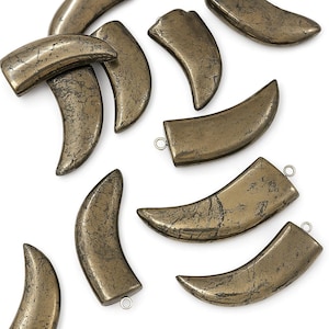 Litet pyrithornhänge (bete, klo), 17 mm x 40 mm bild 1