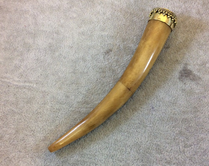 SALE - 5.5" Extra Long Light Brown Round Tusk/Claw Shaped Natural Ox Bone Pendant with Dotted Gold Cap - Measuring 20mm x 140mm