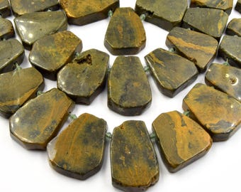 Rainforest Rhyolite Jasper Beads | Freeform Fan Shaped Gemstones (20-34mm)