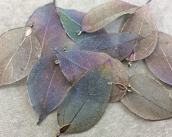 Rainbow Titanium Leaf Pendant – Nature’s Iridescent Beauty