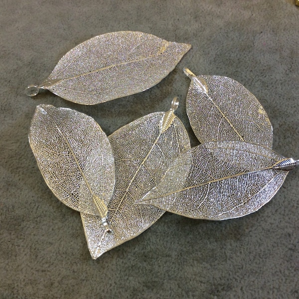 Large Silver Finish Electroplated Copper Leaf Pendants with Attached Bail - Measuring 60-70mm Long - Sold Individually