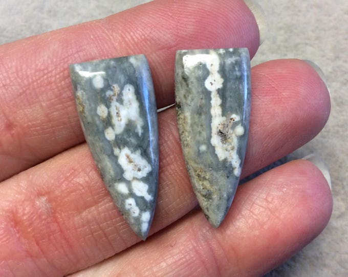 OOAK Pair of Natural Ocean Jasper Triangle/Shield Shaped Flat Back Cabochons - Measuring 12mm x 28mm, 5mm Dome Height - Quality Gemstone