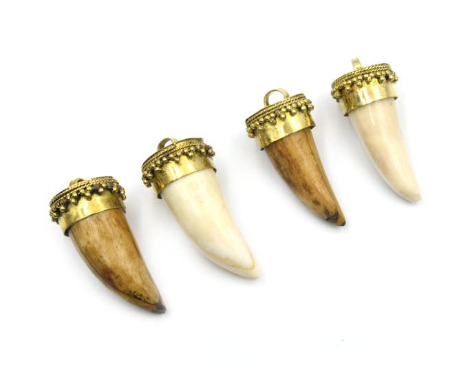 Mini Tusk/Claw Shaped Ox Bone Pendant | White, Brown | Multiple Sizes Available