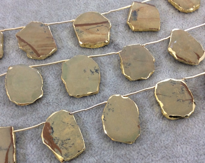 Picture Jasper Slab Beads with Gold Electroplating - Smooth Top Drilled Beads