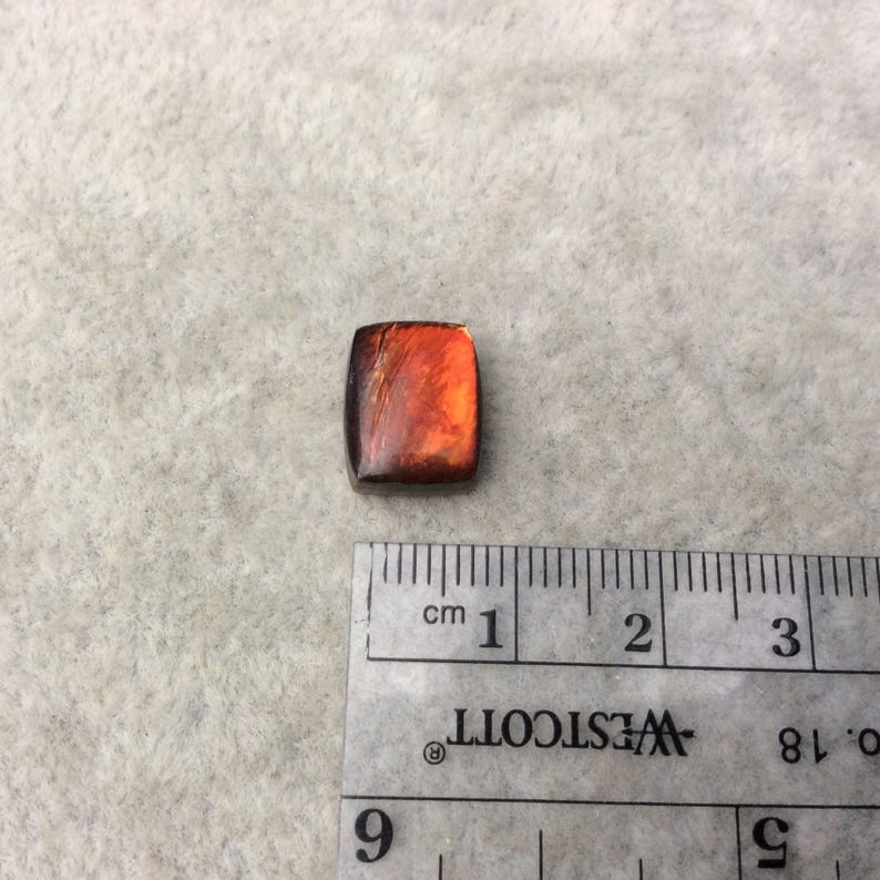 4mm Dome Height Measuring 9mm x 12mm Natural High Quality Fossil OOAK Backed Ammonite Rectangle Shaped Flat Back Cabochon AMK