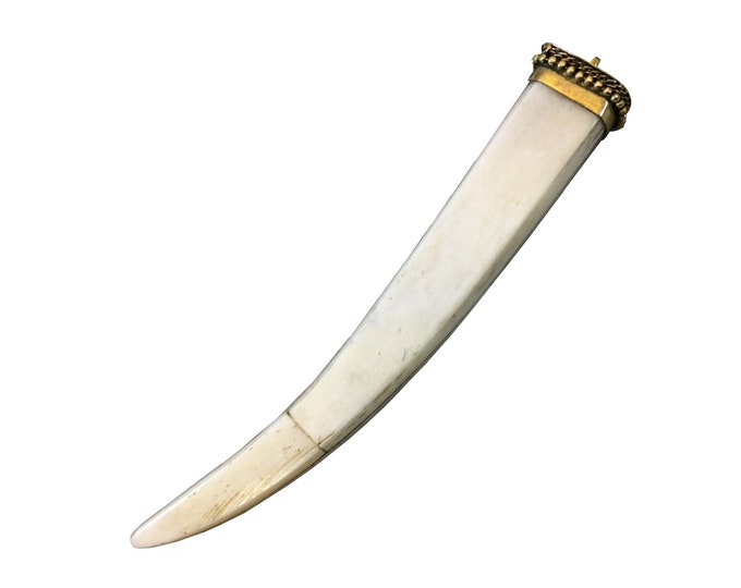 4.5" White/Off White Square Tusk/Claw Shaped Natural Ox Bone Pendant with and Dotted Gold Cap - Measuring 17mm x 116mm - (TR048-WH)