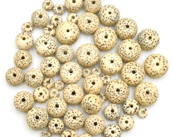 Bodhi Lotus Seed Beads | Moon and Stars Pattern, 10 Pack