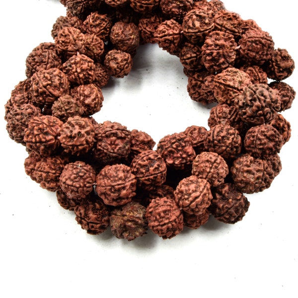 Natural Rudraksha Seed Beads - Sold by the Strand - 108 beads per Strand