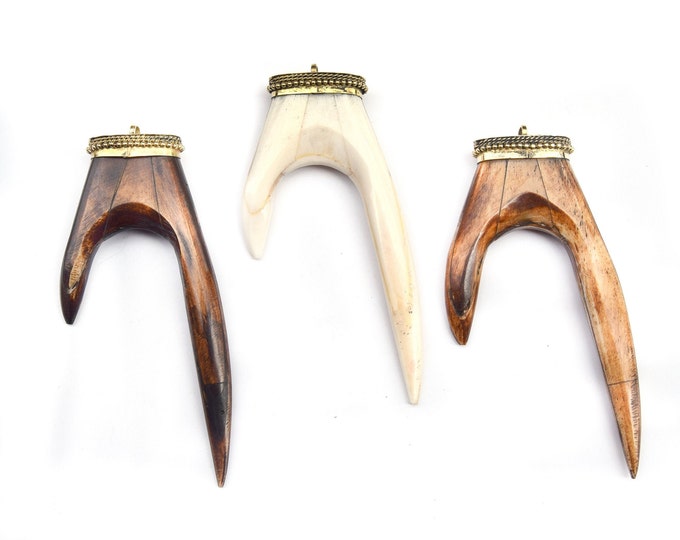 Bone Pendant | Antler Tusk Shaped Natural Ox Bone Pendant with Dotted Gold Cap - 3 Colors available