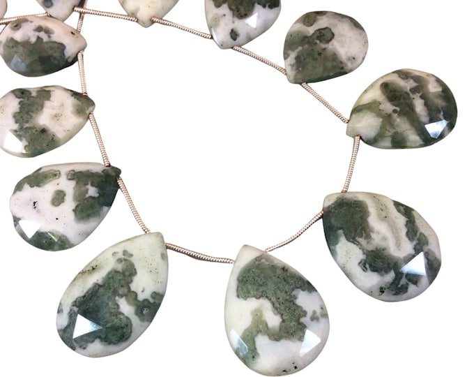 12-19mm x 15-25mm Faceted Pear/Teardrop Shaped Tree Agate Beads - 9" Strand (Approximately 14 Beads) - High Quality Hand-Cut Indian Gemstone