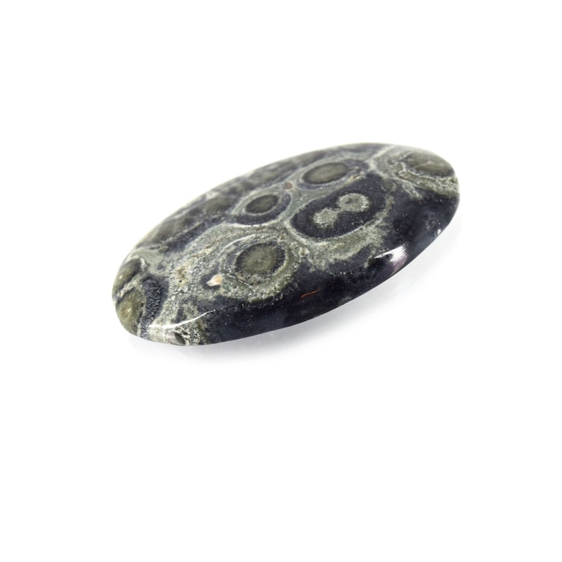 30mm x 44.5mm 6mm Dome Height Kambaba Jasper Cabochon OOAK Natural Gemstone Cabochon Oval Flat Back Cabochon