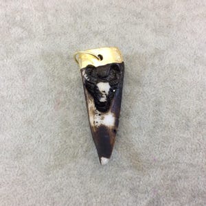 Gold Electroplated Resin Pendant – Steer Head Tooth/Fang/Tusk Shape