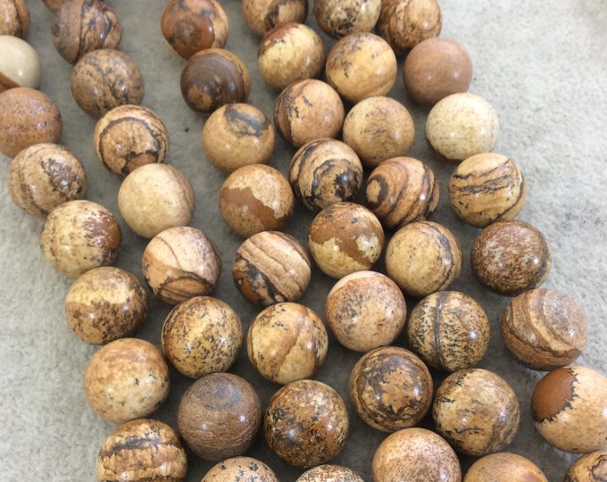 14mm Smooth Natural Picture Jasper Round/Ball Shaped Beads with 1mm Holes - Sold by 15.5" Strands (Approx. 27 Beads) - Quality Gemstone