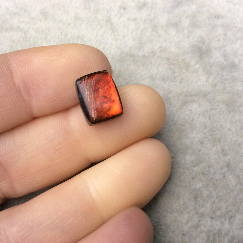 4mm Dome Height Measuring 9mm x 12mm Natural High Quality Fossil OOAK Backed Ammonite Rectangle Shaped Flat Back Cabochon AMK